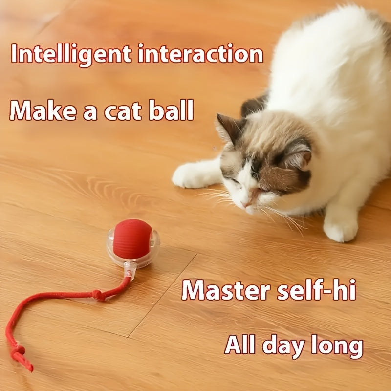 Interactive Pet Toy - 1pc Striped Silicone Magic Ball, USB Charging, Automatic Rolling, Cartoon Design for Small Dogs & Cats