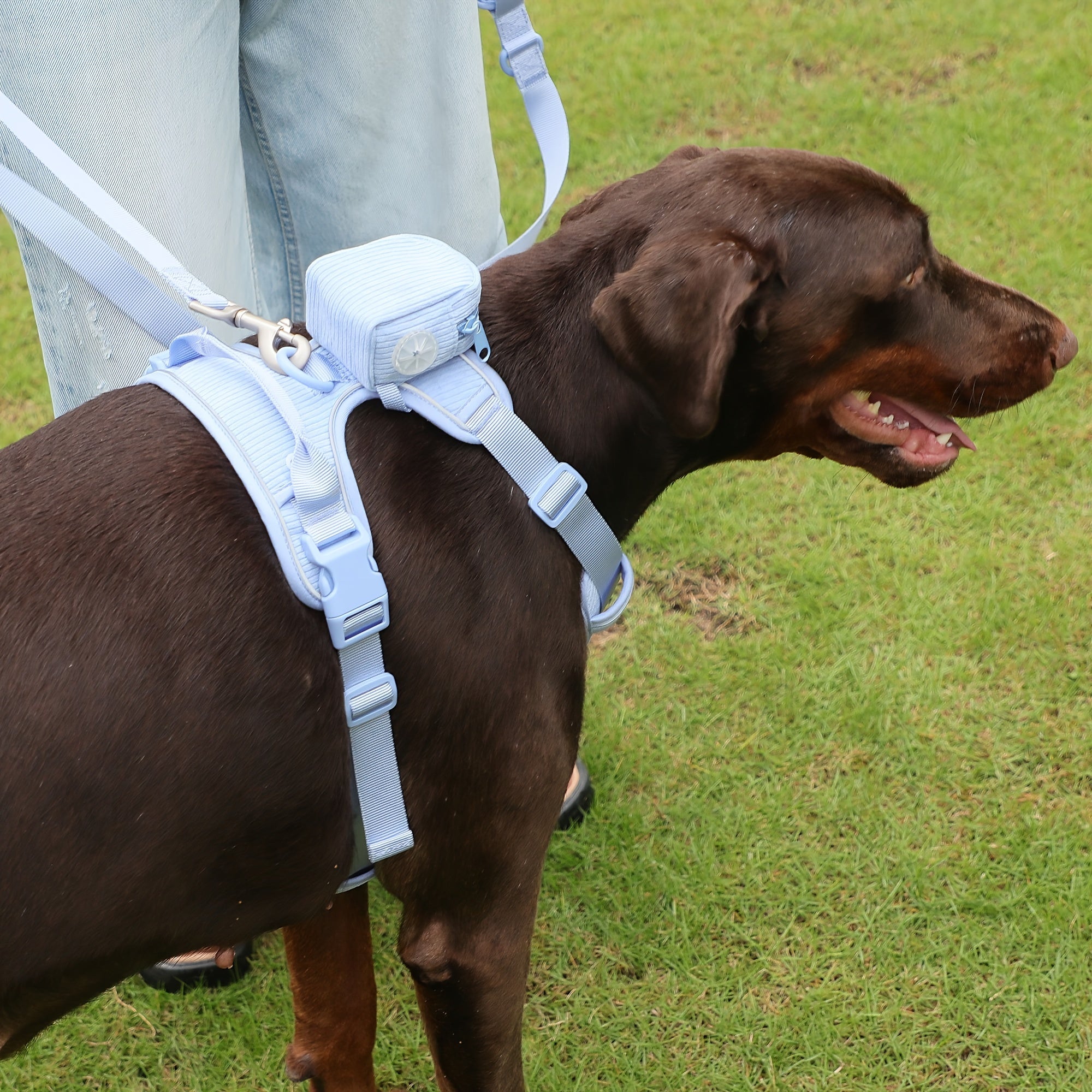 Fashionable And Cute Corduroy Pet Harness