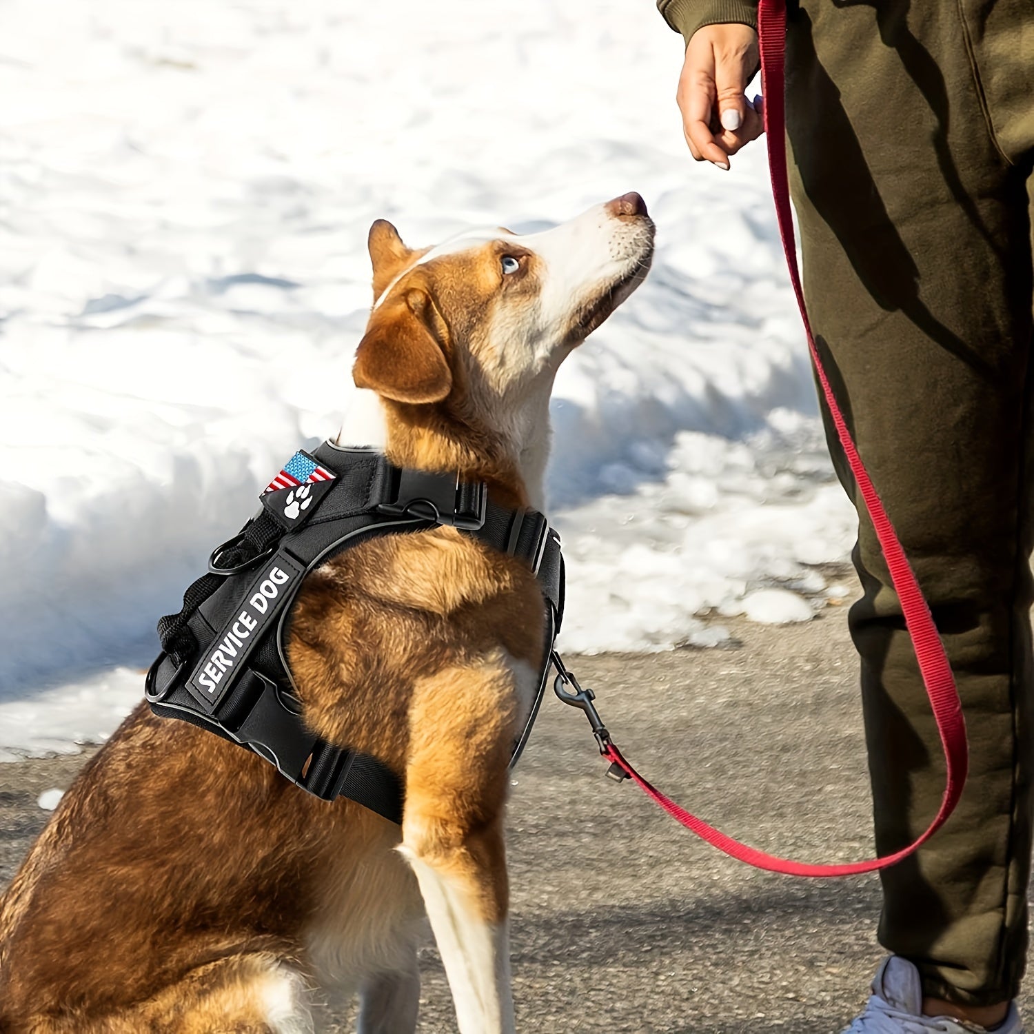 Service Dog Harness, Reflective Dog Vest Harness With 5 PCS Patches, Adjustable Soft Oxford Pet Harness, Inner Layer Mesh, Easy To Control For Small Medium Large Dogs With 59inch Traction Rope