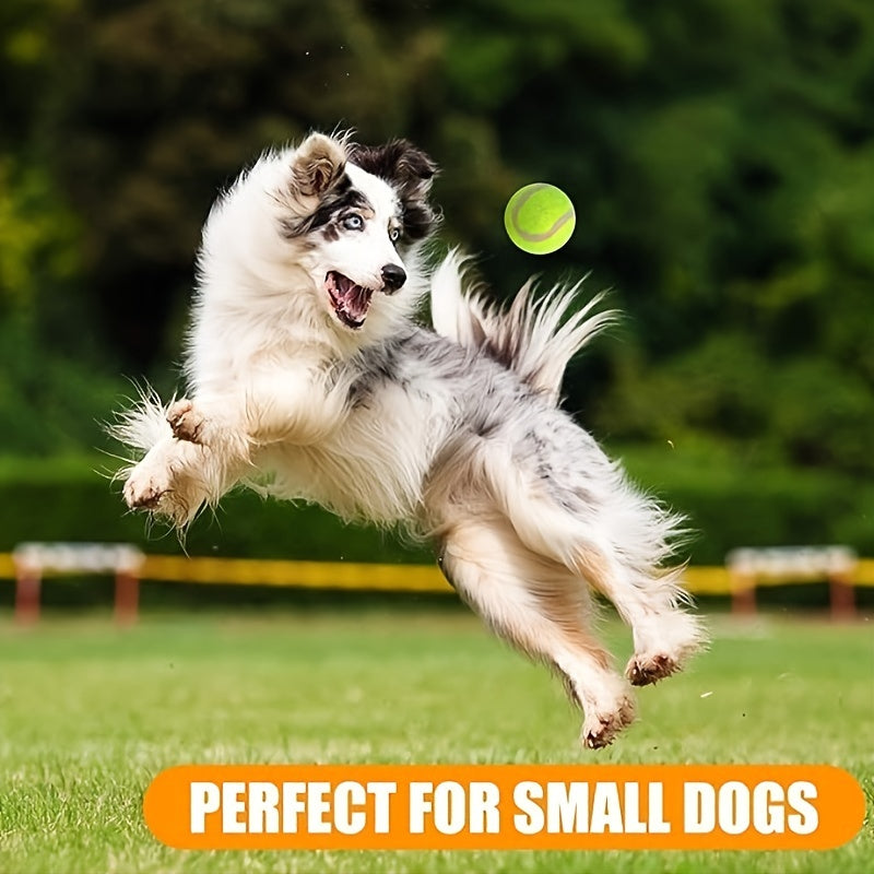 20 Pack Tennis Balls For Small Dogs, Pet Toys For Playing And Training, 2 Inch (5cm)