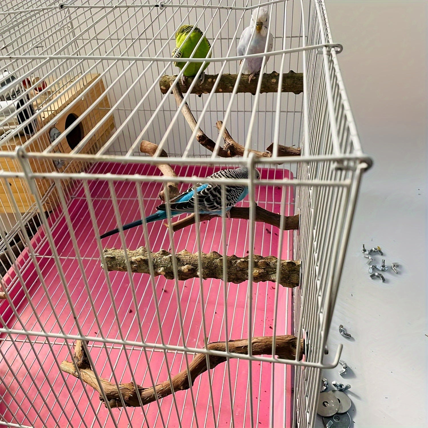 5pcs Natural Wood Bird Perch Set, Durable Grape Wood and Cassia Bark for Parakeets, Sun Conures, Lovebirds, and Small to Medium Species, Bite-Resistant Bird Cage Accessories