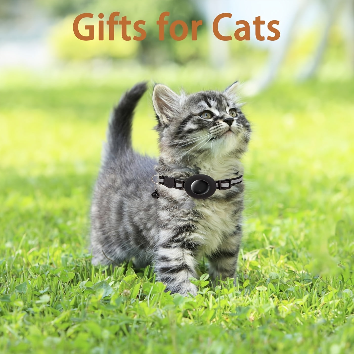 Reflective Breakaway Safety Buckle Cat Collar with Bell