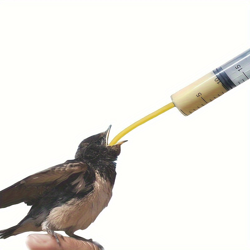 4pcs Bird Feeding Needle, Parrot With Scale Needle Feeder, For Young Birds, Bird Eating Auxiliary Tool, Bird Artificial Feeding Utensils