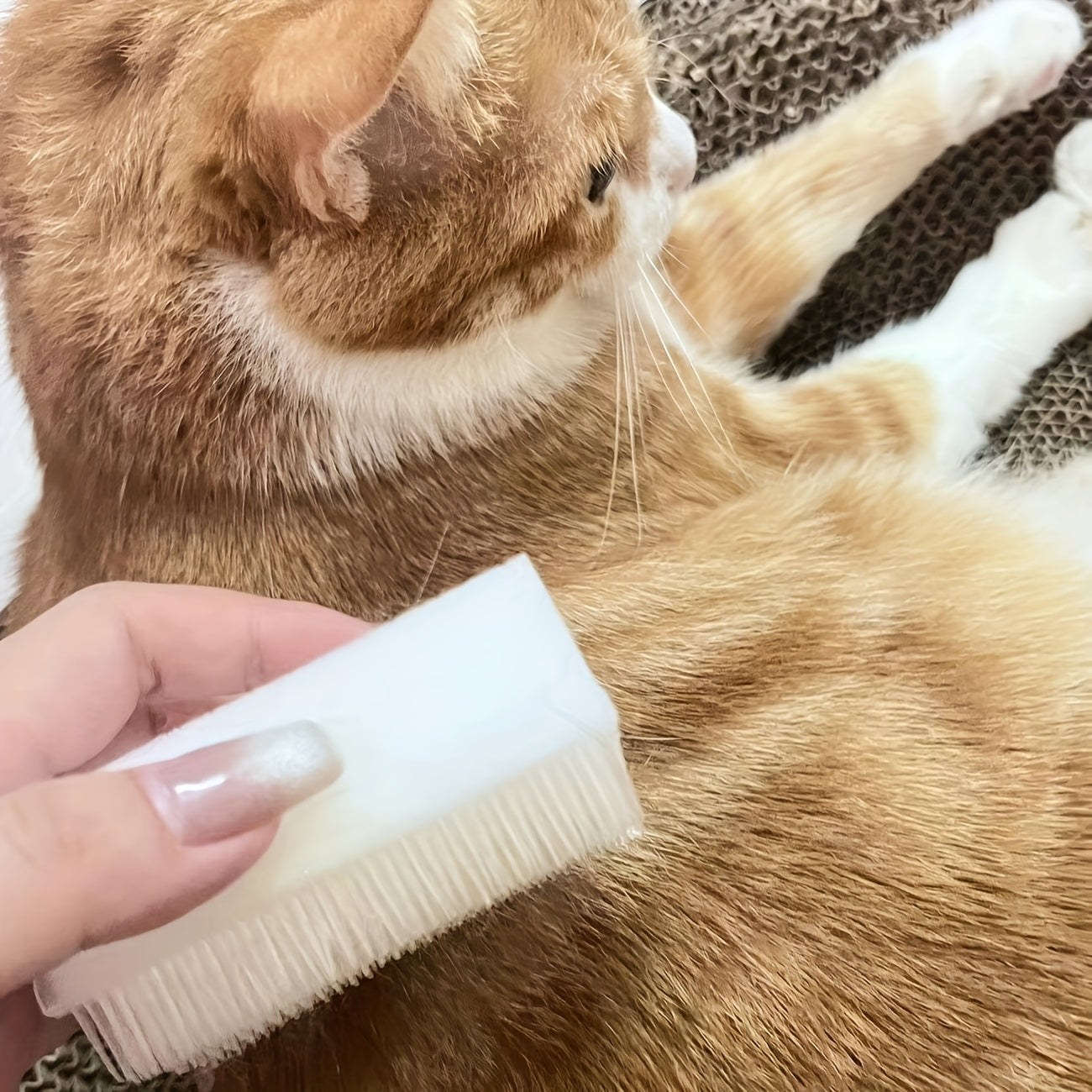 1pc Soft Bristle Cat Tongue Sensory Brush - Analogous to a Mother Cat's Tongue, Comforting Pet Grooming Tool, Non-Electric Plastic, Ideal for Styling & Soothing Cats