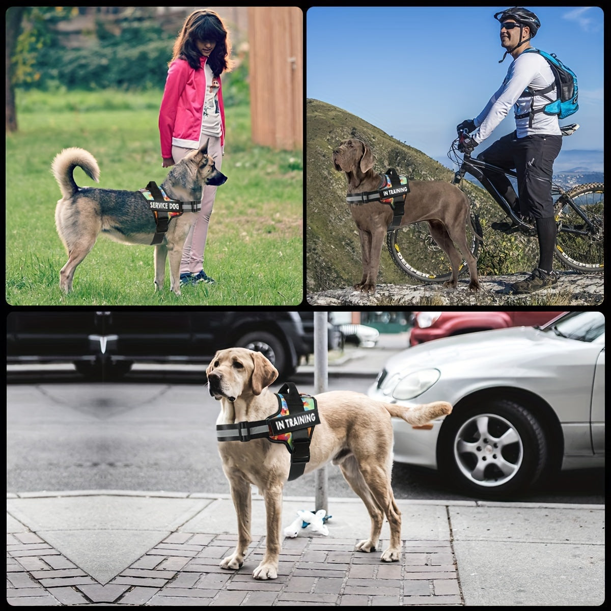 Reflective Dog Vest Breathable Adjustable Pet Harness