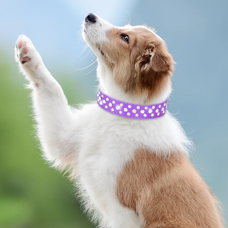 CP037D New Color Amazon Hot Pet Collar