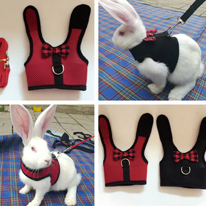 Exclusive Rabbit Leash and Hamster Chest Harness Paired with Stylish Rabbit Clothes for Safe and Fashionable Pets
