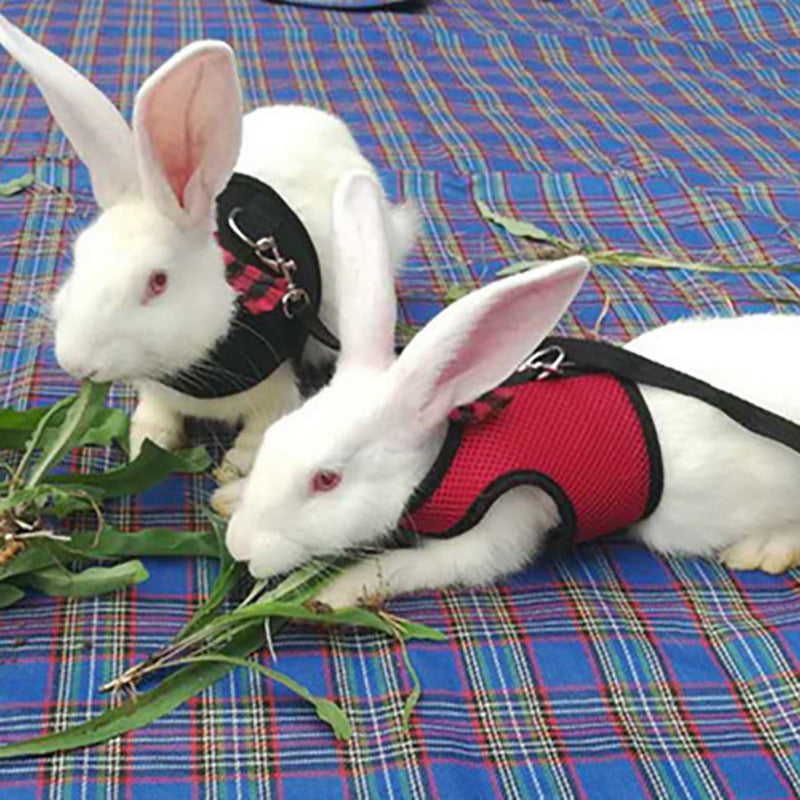Exclusive Rabbit Leash and Hamster Chest Harness Paired with Stylish Rabbit Clothes for Safe and Fashionable Pets