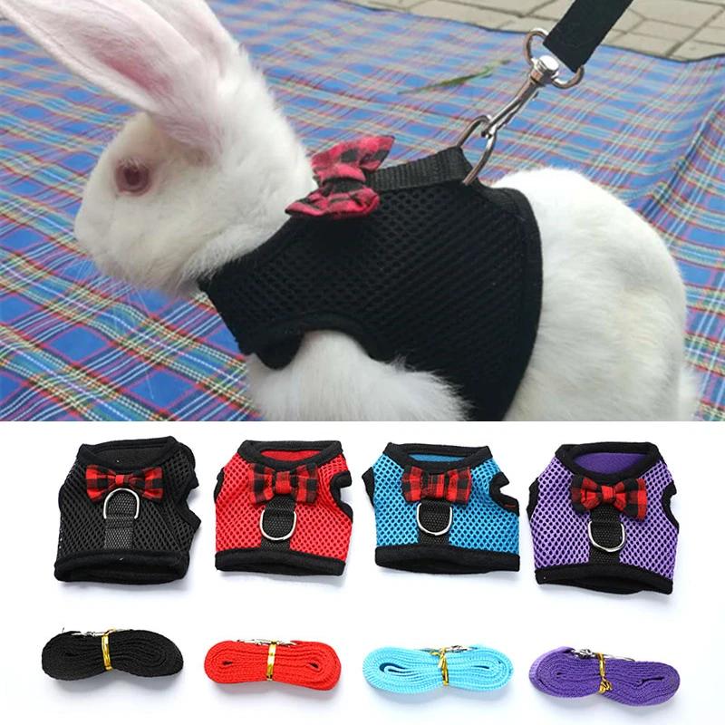 Exclusive Rabbit Leash and Hamster Chest Harness Paired with Stylish Rabbit Clothes for Safe and Fashionable Pets