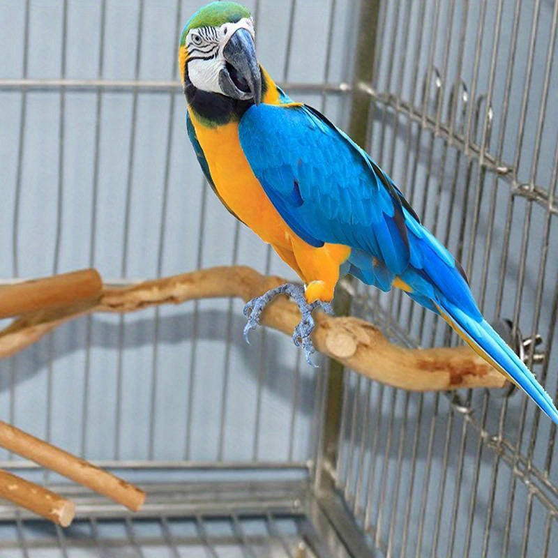 Deluxe Parrot Perch Tree - Sturdy Hanging Bird Stand with Paw Grinding Fork, Climbing Branch, and Birdcage Accessories for Parakeet and Small Bird Entertainment, Exercise, and Training
