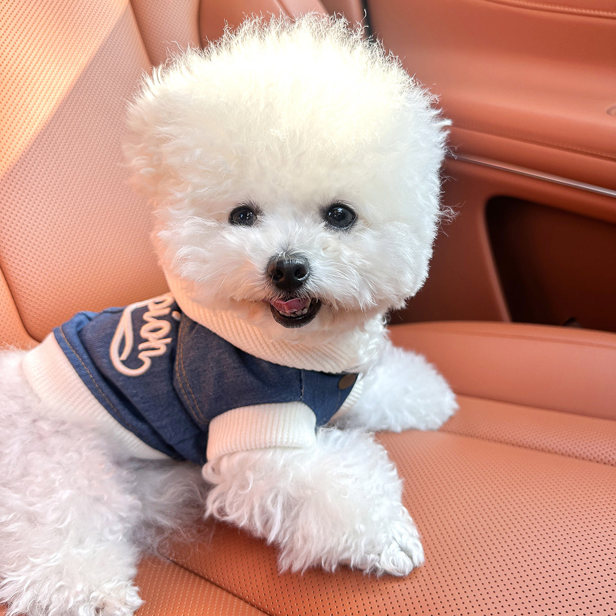 Chic Denim Dog Jacket for Small Breeds - Cozy & Stylish Pet Apparel with Snap Closure, Perfect for Fall/Winter