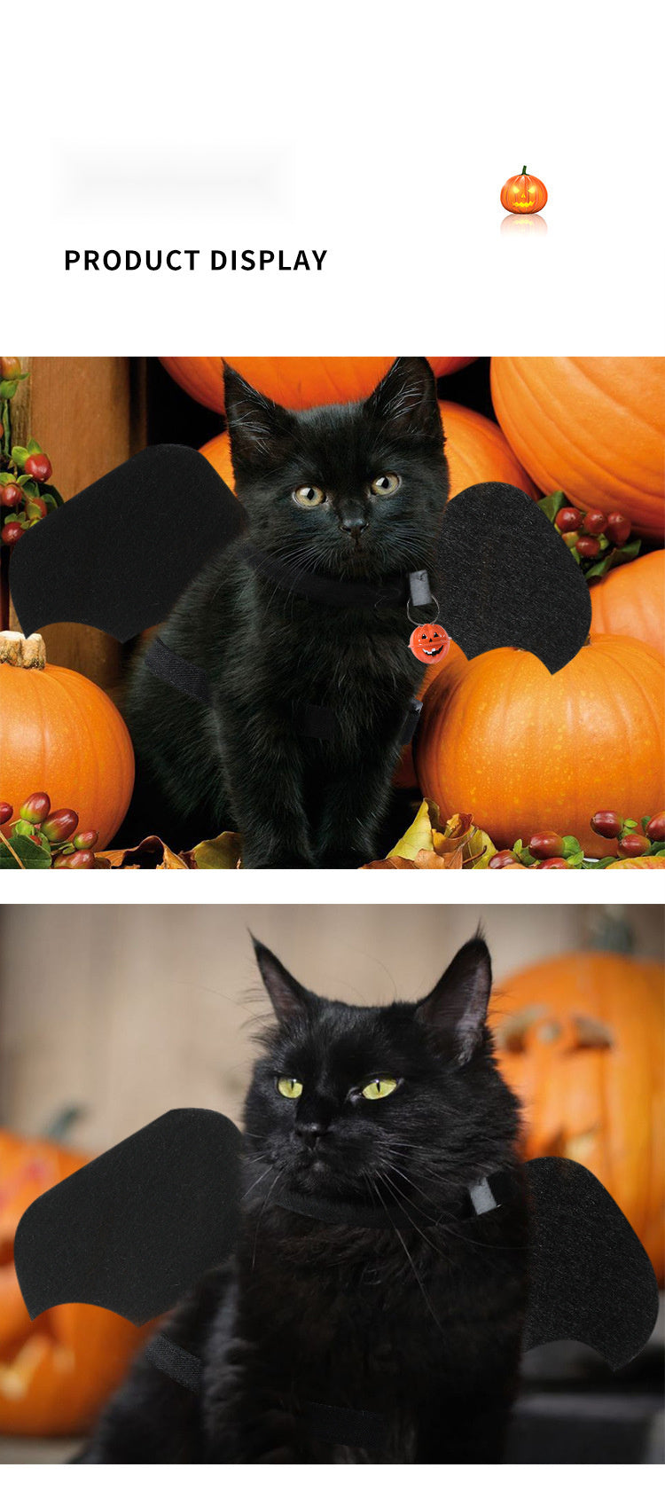 Halloween Bat Wings Pet Harness with Matching Leash for Cats & Small Dogs - Adjustable Polyester Costume with Dry Clean Only Instruction