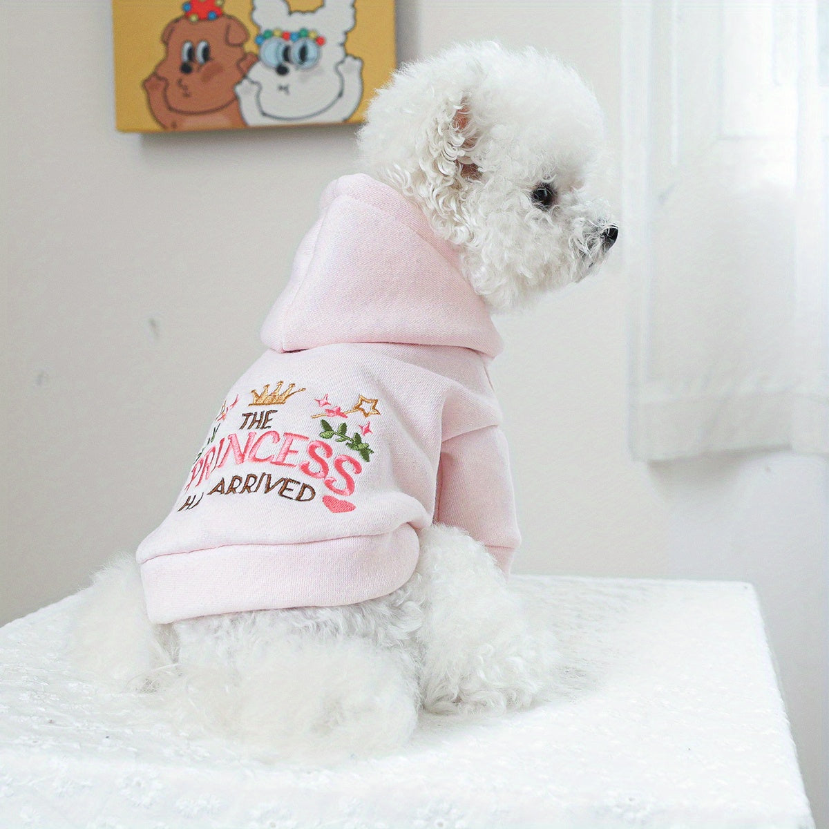 Princess-Themed Hoodie for Pets, 100% Polyester, All-Season Knit Fabric Dog Hooded Sweatshirt, Pullover Design, with Hand Wash Only, for Small Breeds, Ideal Christmas Gift