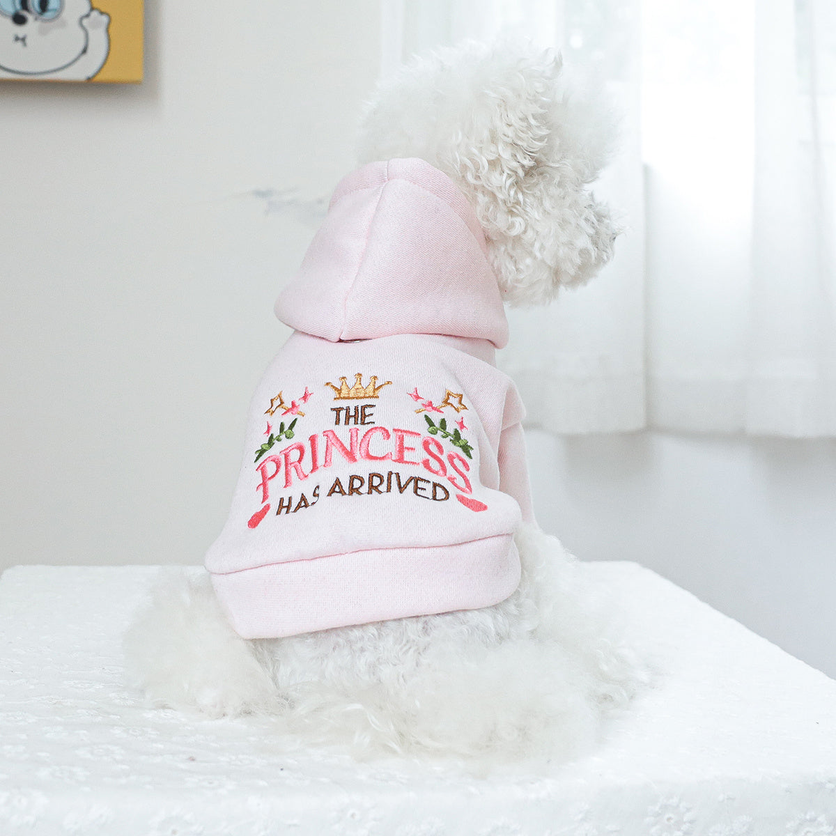 Princess-Themed Hoodie for Pets, 100% Polyester, All-Season Knit Fabric Dog Hooded Sweatshirt, Pullover Design, with Hand Wash Only, for Small Breeds, Ideal Christmas Gift