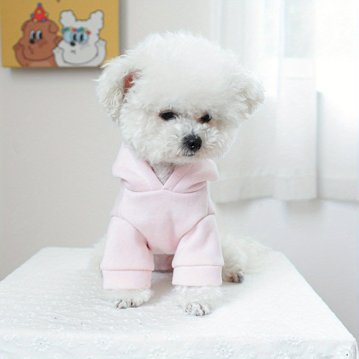 Princess-Themed Hoodie for Pets, 100% Polyester, All-Season Knit Fabric Dog Hooded Sweatshirt, Pullover Design, with Hand Wash Only, for Small Breeds, Ideal Christmas Gift