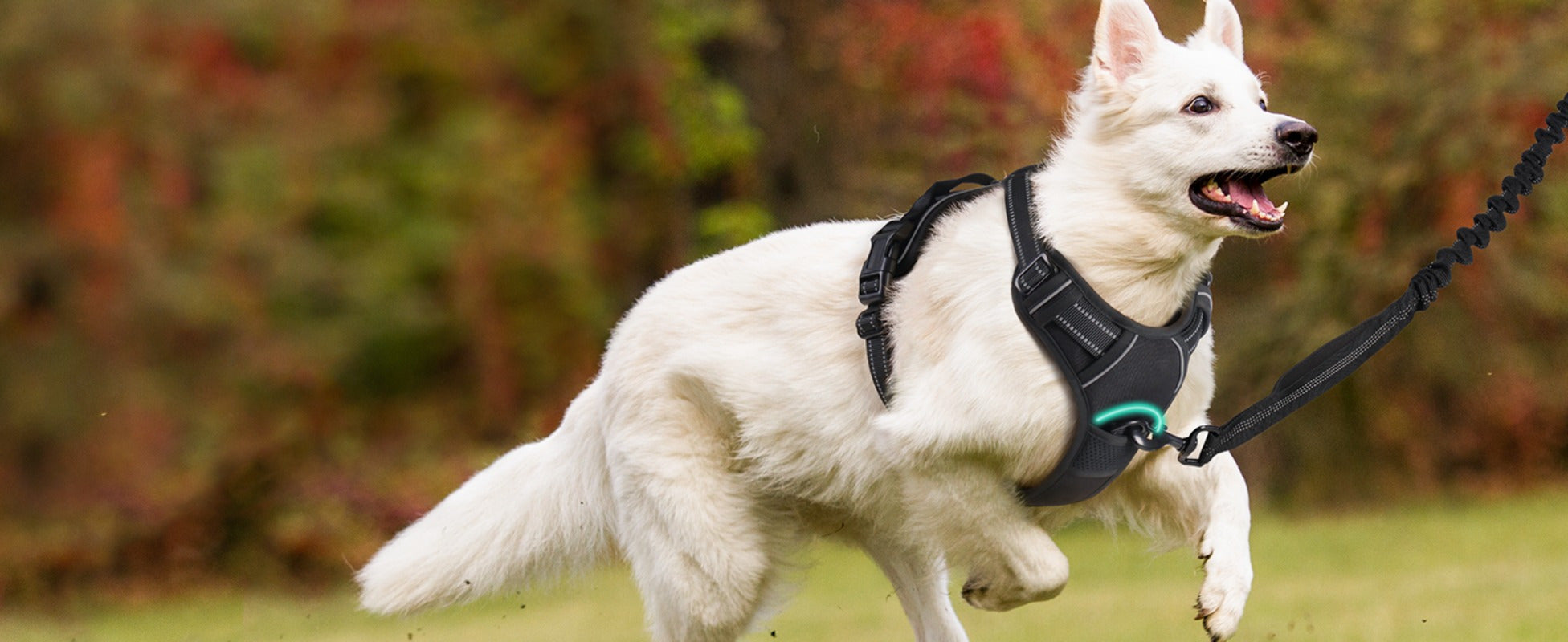 1pc Escape-Proof Dog Harness, Reflective No-Pull Pet Harness with 2 Metal Rings and Easy Control Handle, Adjustable and Comfortable Soft Padded Dog Vest for Easy Walking, Black