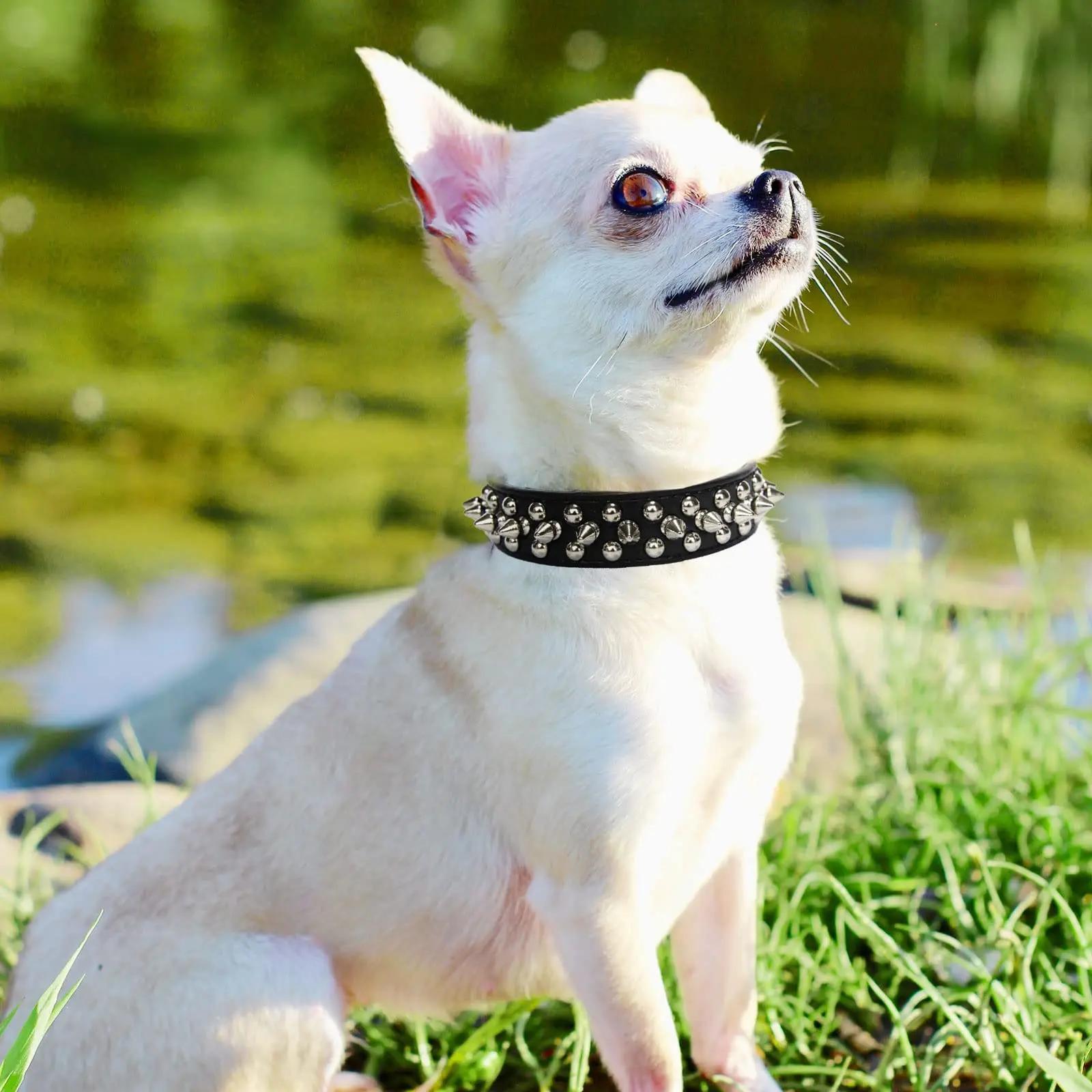 Adjustable Spiked Rivet Faux Leather Dog Collar - Punk Style Polka Dot Pet Collar for Small Dogs and Cats
