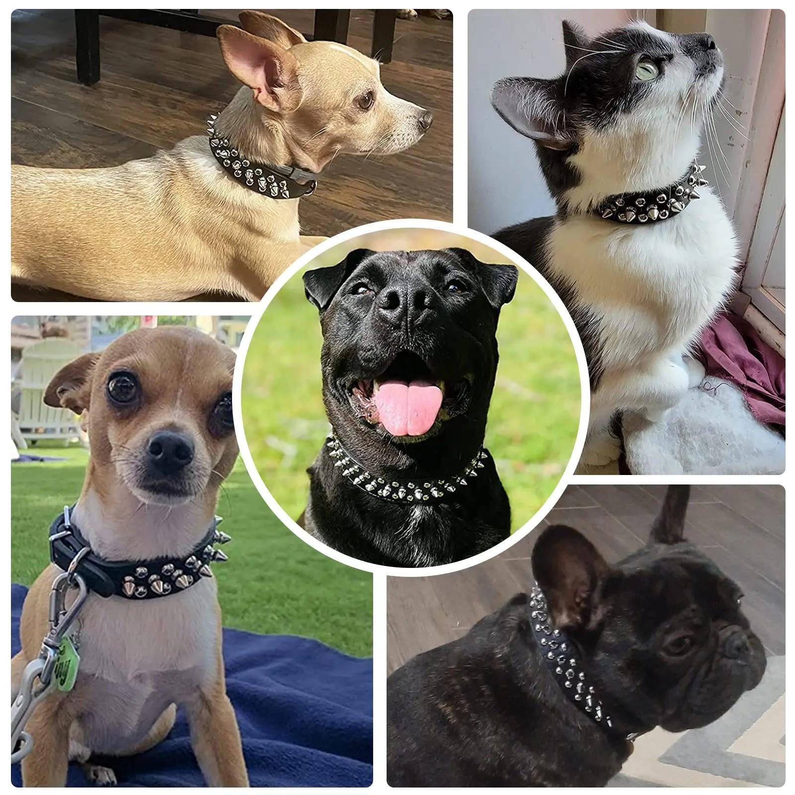 Adjustable Spiked Rivet Faux Leather Dog Collar - Punk Style Polka Dot Pet Collar for Small Dogs and Cats