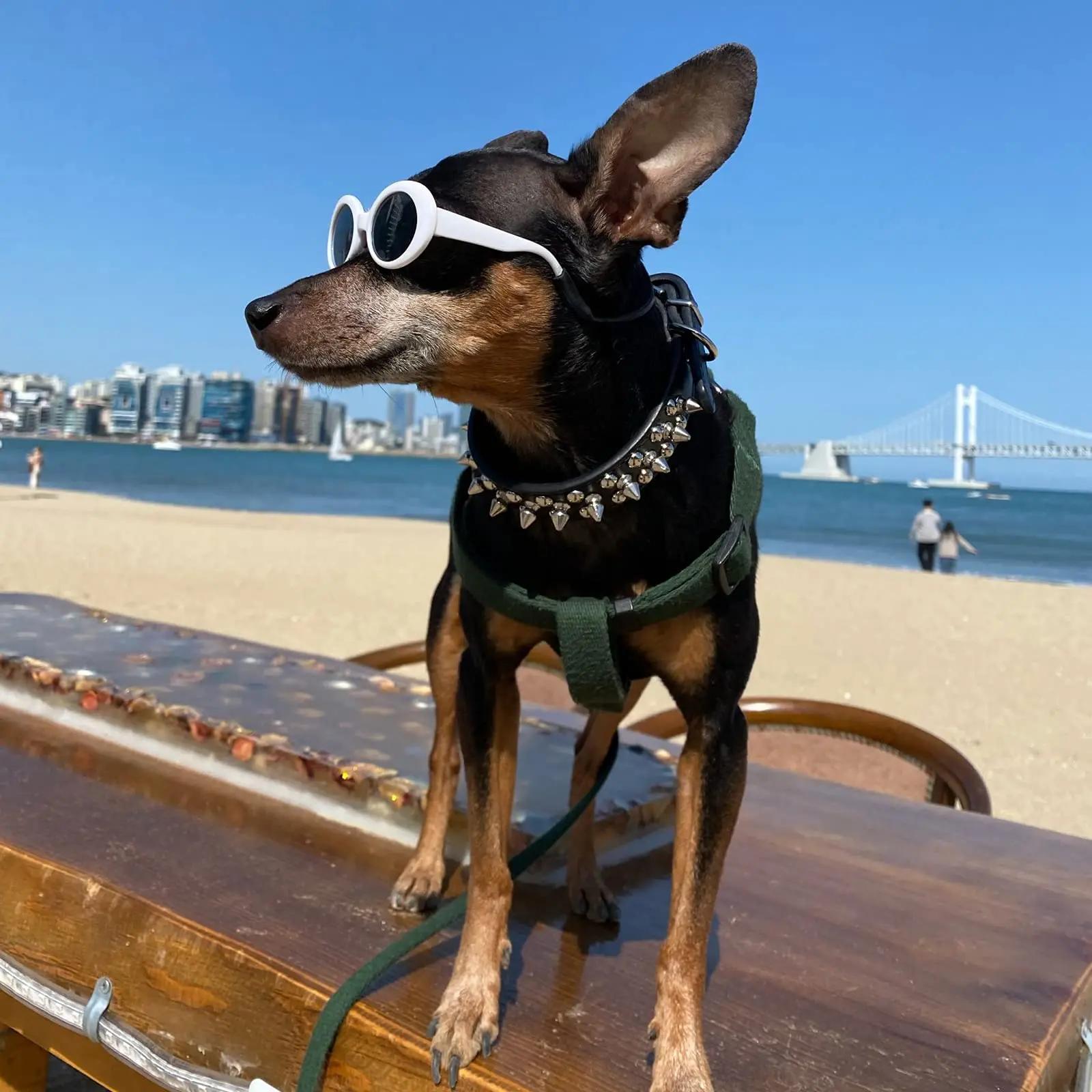 Adjustable Spiked Rivet Faux Leather Dog Collar - Punk Style Polka Dot Pet Collar for Small Dogs and Cats