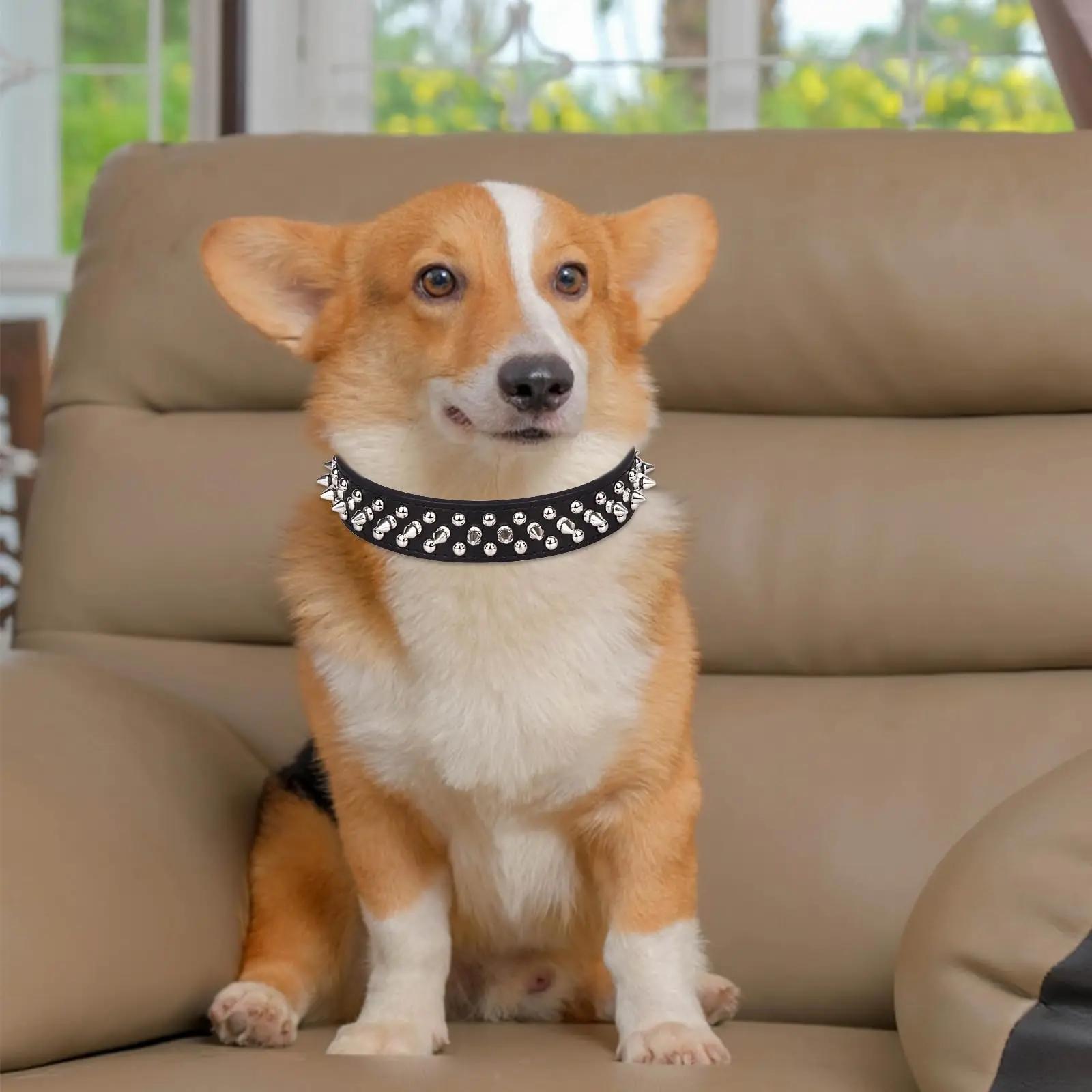 Adjustable Spiked Rivet Faux Leather Dog Collar - Punk Style Polka Dot Pet Collar for Small Dogs and Cats