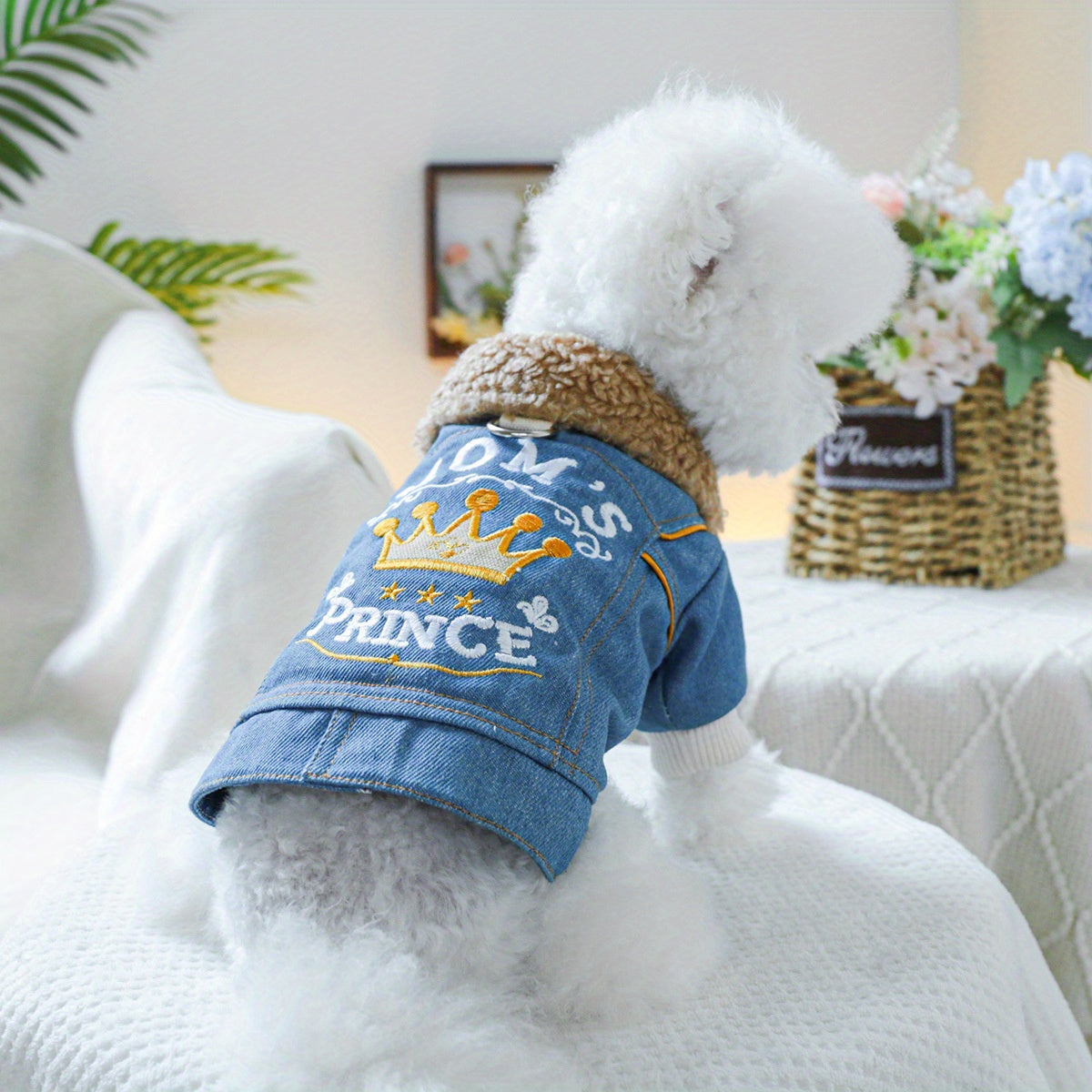 Small Breeds Fleece-Lined Cozy Denim Dog Jacket - Winter Warmth for Pomeranians & Teddy, Cute Pet Apparel
