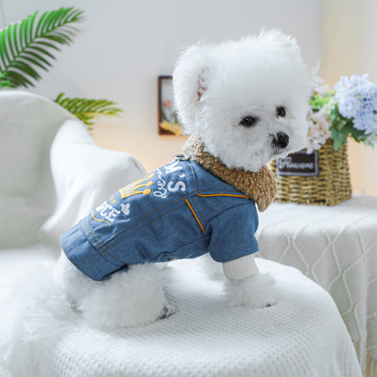 Small Breeds Fleece-Lined Cozy Denim Dog Jacket - Winter Warmth for Pomeranians & Teddy, Cute Pet Apparel