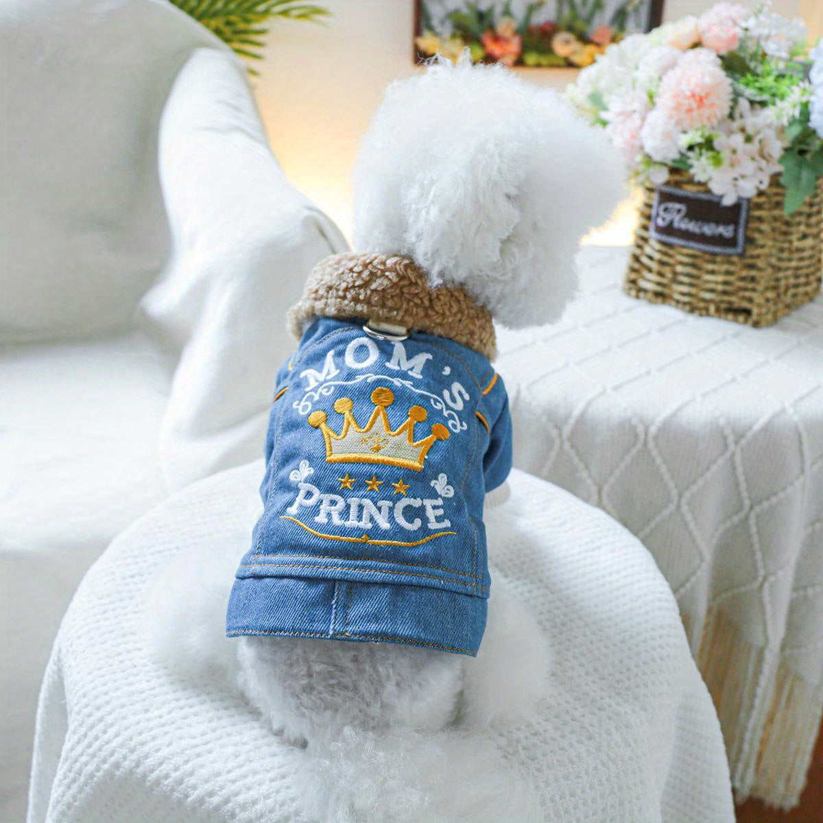 Small Breeds Fleece-Lined Cozy Denim Dog Jacket - Winter Warmth for Pomeranians & Teddy, Cute Pet Apparel