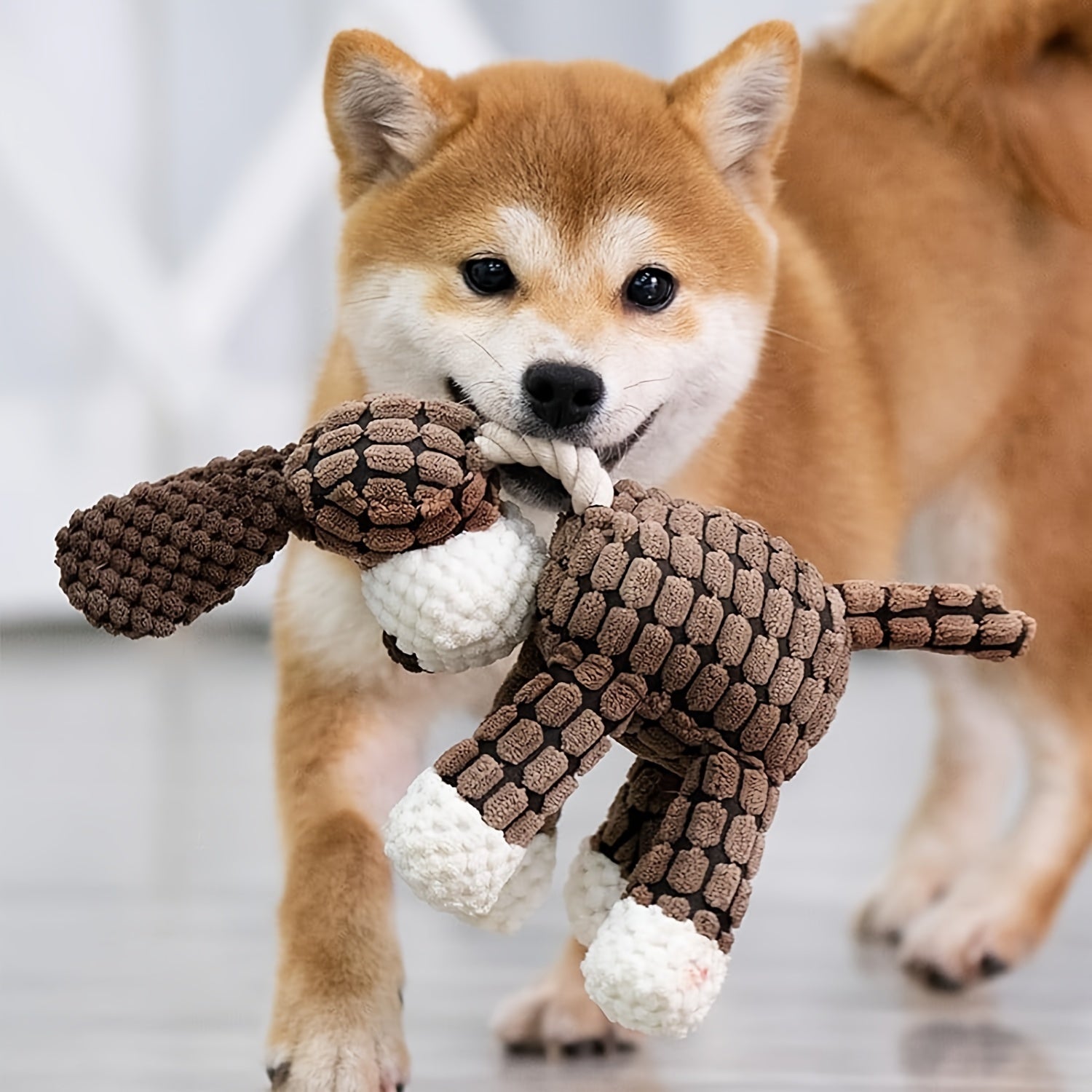 3pcs/1pc Dog Plush Toy-Cartoon Squeaky Pet Toy, Dog Chew Toy Puppy Toy, Perfect For Small & Medium Dogs, Stuffed Puppy Chew Toy For Indoor&Outdoor Play, Gift Toy For Pets