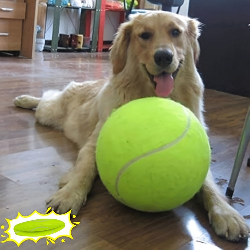 Dog Tennis Ball