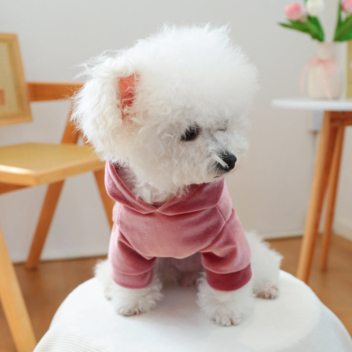 1pc Cozy Fleece Hoodie for Small Dogs - Warm & Comfortable Autumn/Winter Pet Apparel in Pink, Soft Polyester Knit Design for Cold Weather, Indoor Pet Hoodie | Stylish Dog Outfit | Comfortable Petwear, Dog Sweater