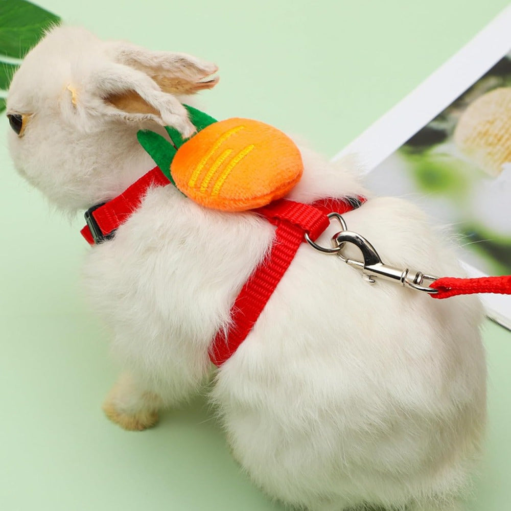 Adjustable Small Pet Harness Rope