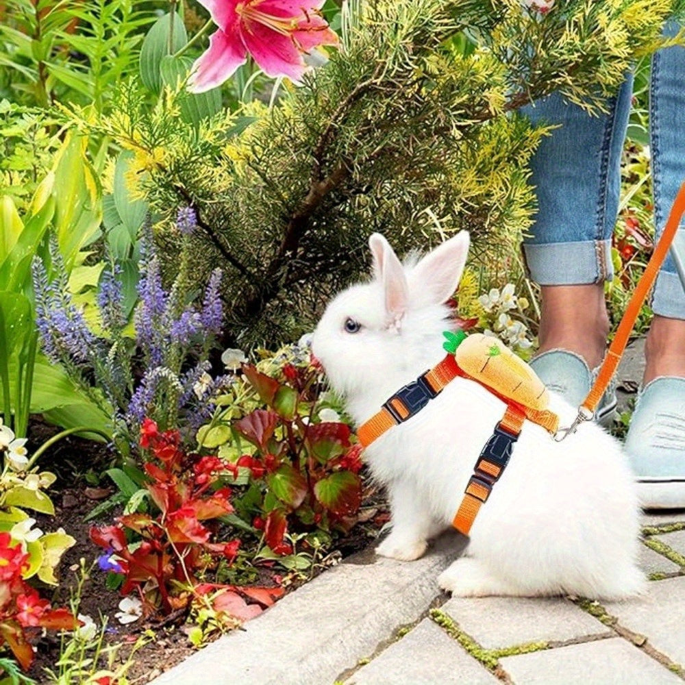 Upgraded Pet Outing Leash, Adjustable Small Pet Harness Rope, Small Pet Vest Carrier, Outdoor Wearing Supplies, Anti-breakaway Leash, Cute, Beautiful and Easy To Clean, Suitable for Cats and Dogs, Rabbits, Ferrets, Small Pets