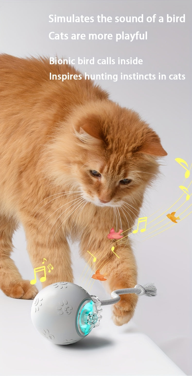 Cat Toys For Indoor Cats, Interactive Cat Toy, USB Rechargeable, Fast Rolling Dog Ball Toy On Rug, Bird Chirping & Motion Activated Cat Ball, Anti-Depression Pet Toy Fun Gift With Light