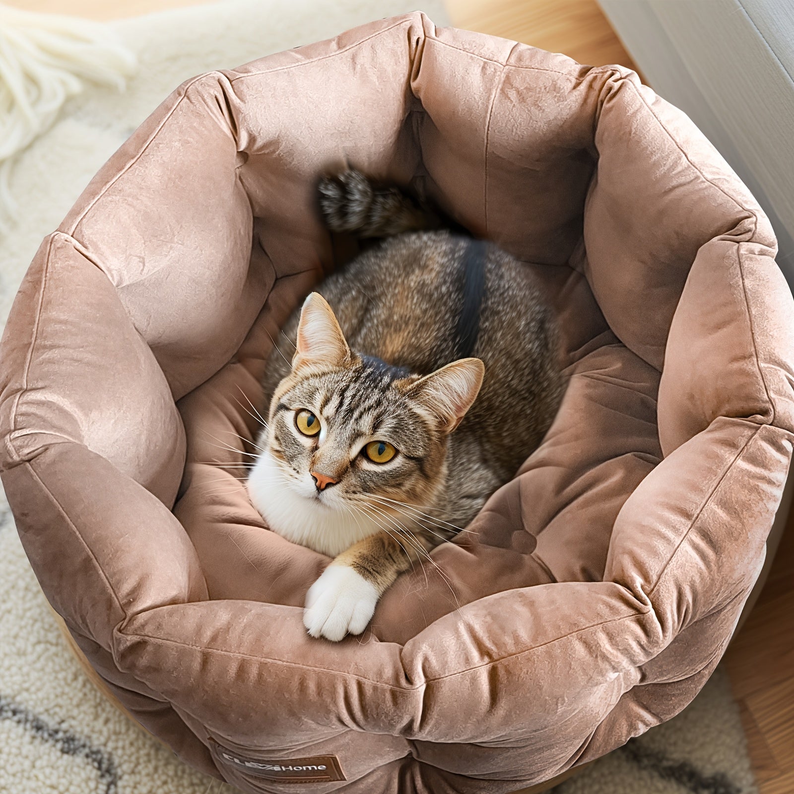 ClevaHome Deep Nest Cat Bed for Small Pets up to 15lbs - Round Cat Beds for Indoor Cats, Luxurious Velvet Feel, Extra High Sides, Machine Washable Comfort Pet Bed with Non-Slip Bottom