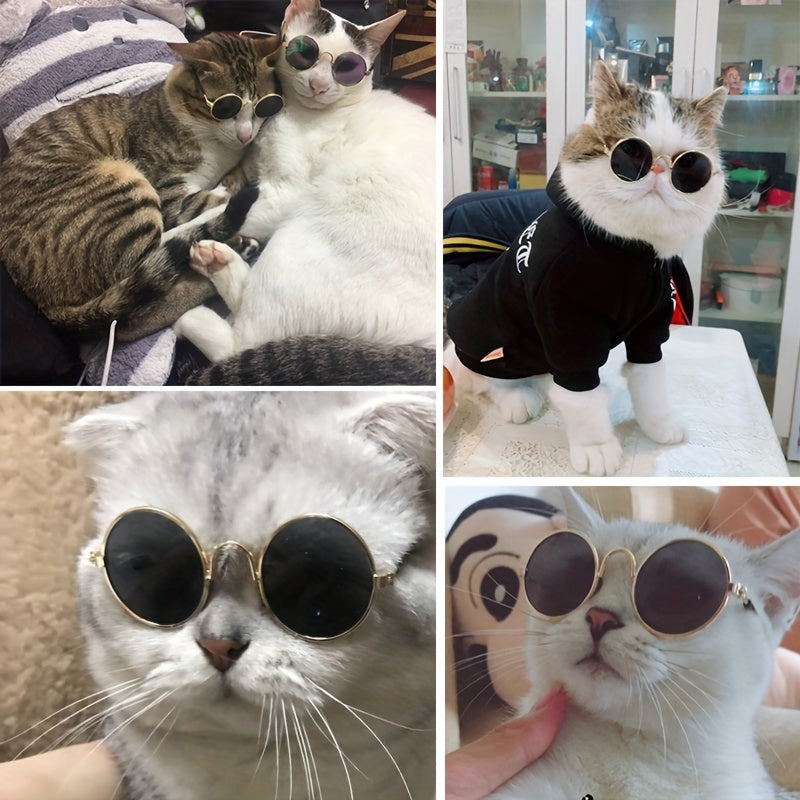 Whimsical Pet Fashion Glasses for Cats & Dogs - Fun & Stylish Round Frame Accessory, Perfect for Teddy Breeds & Unique Animal Fashion Statements, Cute Pet Accessories