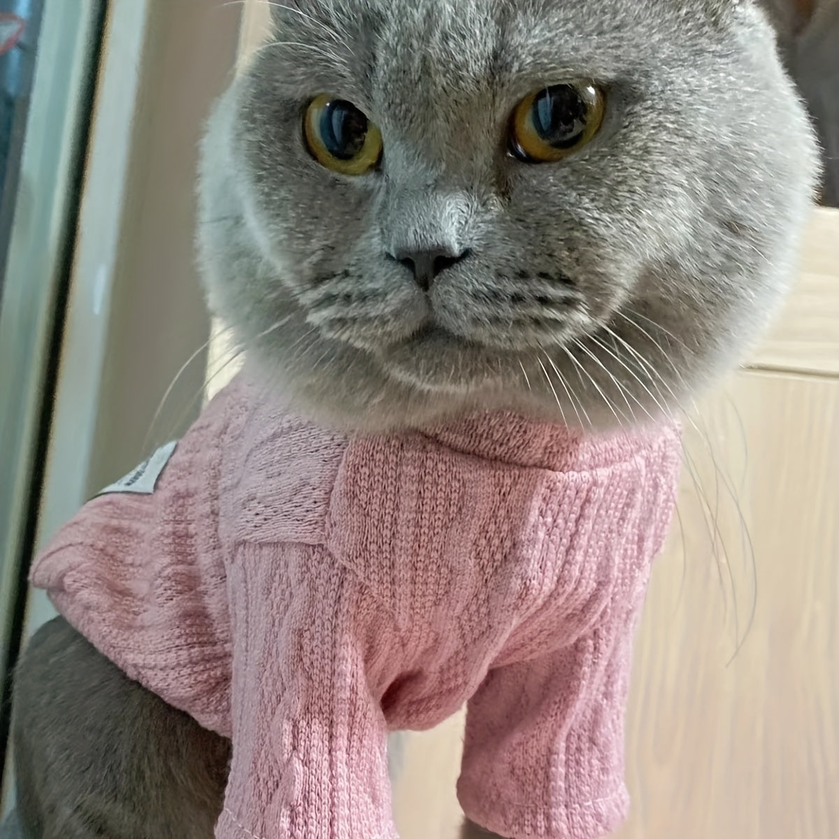 Cat And Dog Sweater, Pet Knitted Clothes, Solid Color Cat Knitwear, Pet Apparel