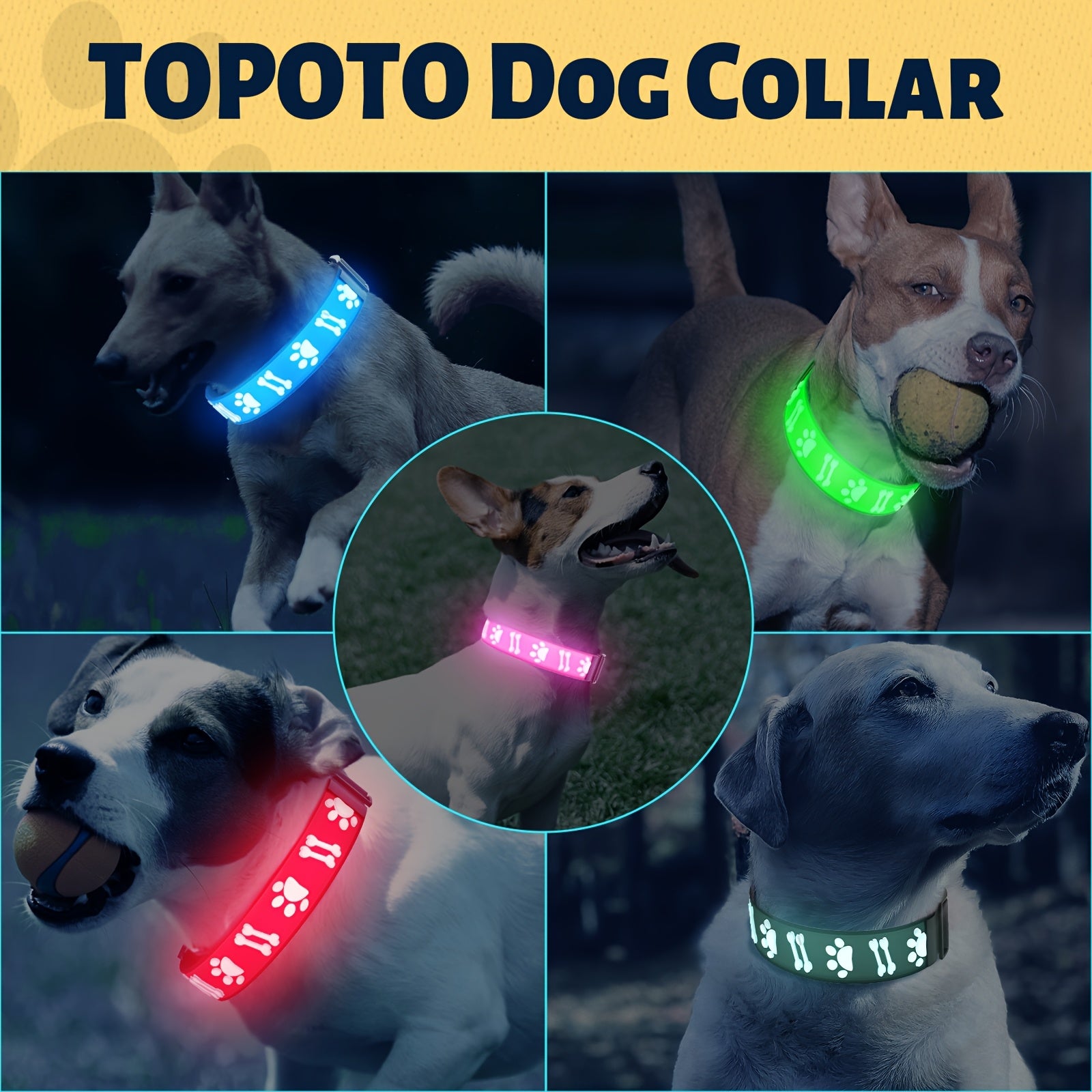 LED Dog Collar
