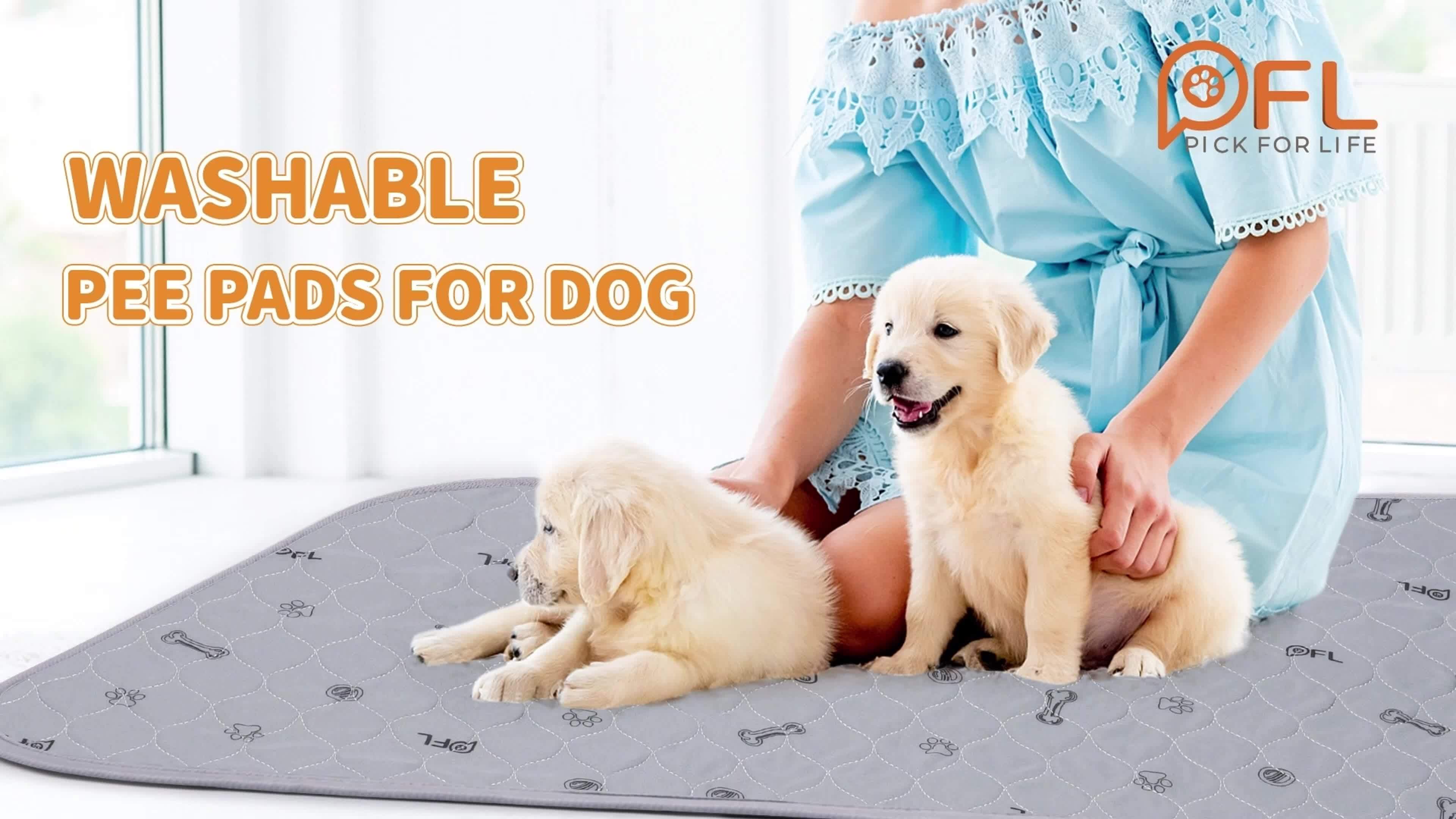 Washable & Reusable Dog Pee Pads - Leakproof Puppy Training Pads with Non-Slip Bottom, Quick-Absorbent Washable Layers & Bone Print Design (Grey/White) for Crate, Potty Training,, Post-Surgery - Multi-Use Pet Bed, Kennel