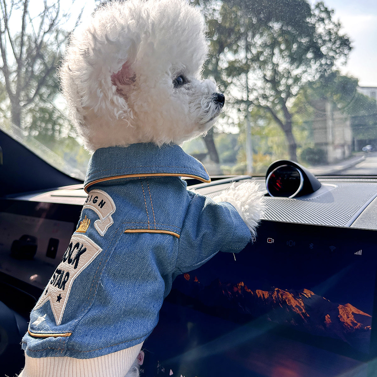 Chic Denim Dog Jacket for Small Breeds - Cozy & Stylish Pet Apparel with Snap Closure, Perfect for Fall/Winter