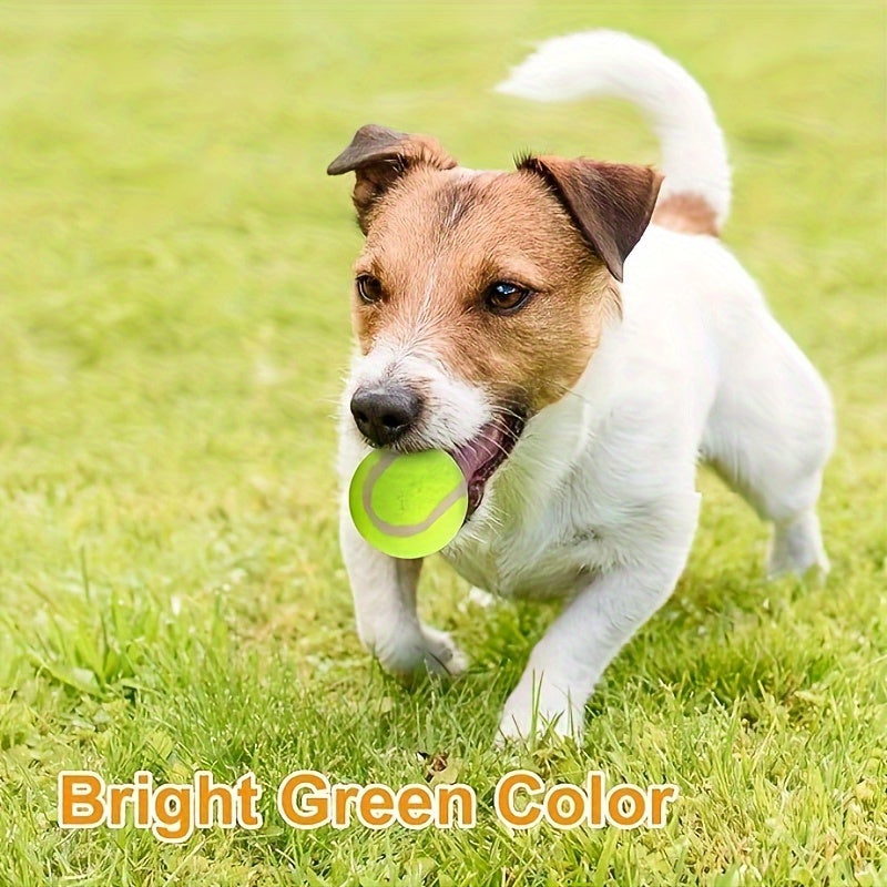 20 Pack Tennis Balls For Small Dogs, Pet Toys For Playing And Training, 2 Inch (5cm)