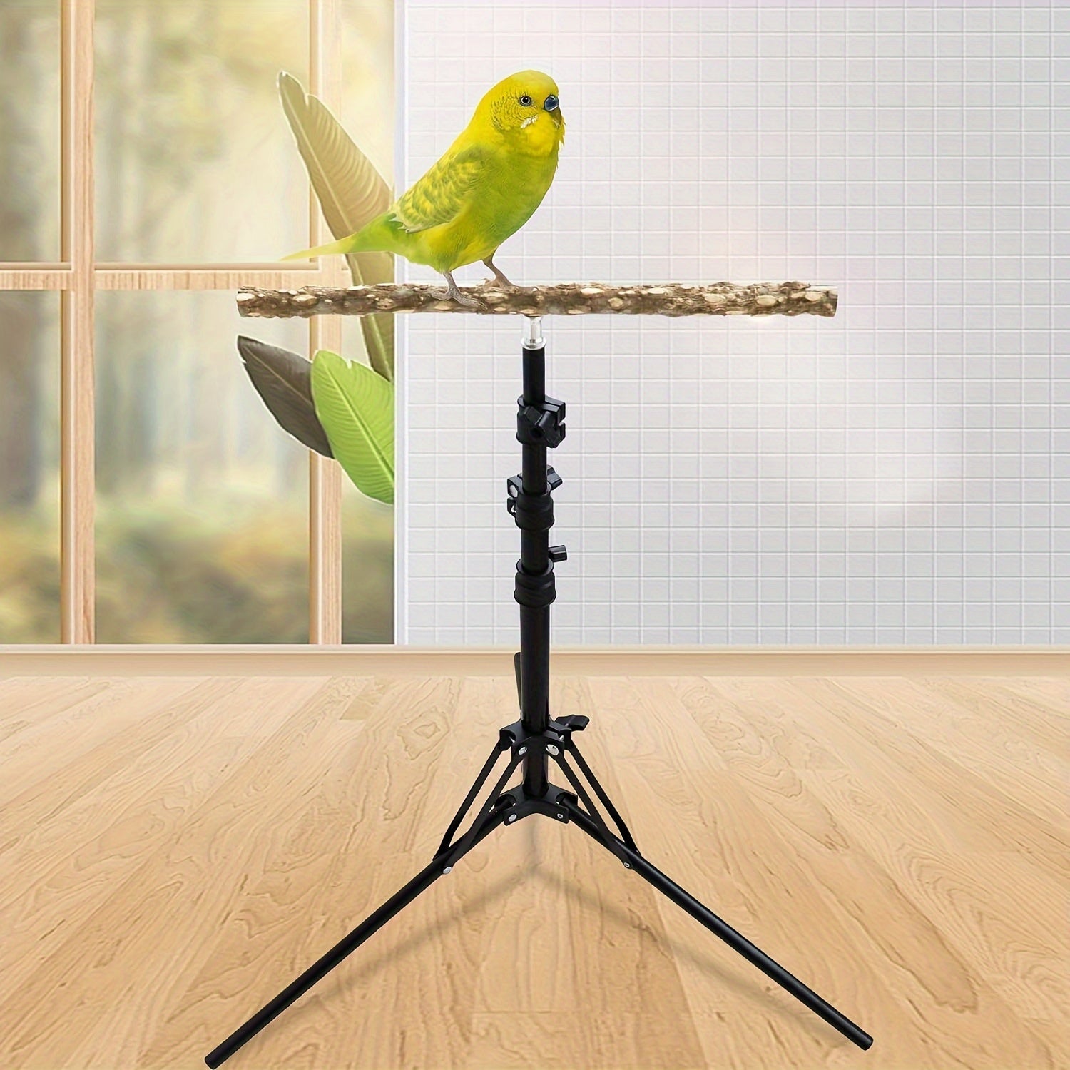 1pc Adjustable 16-63 Inch Parrot Perch Stand, Bird Training Toy, Indoor And Outdoor Bird Stands For Small To Medium Birds