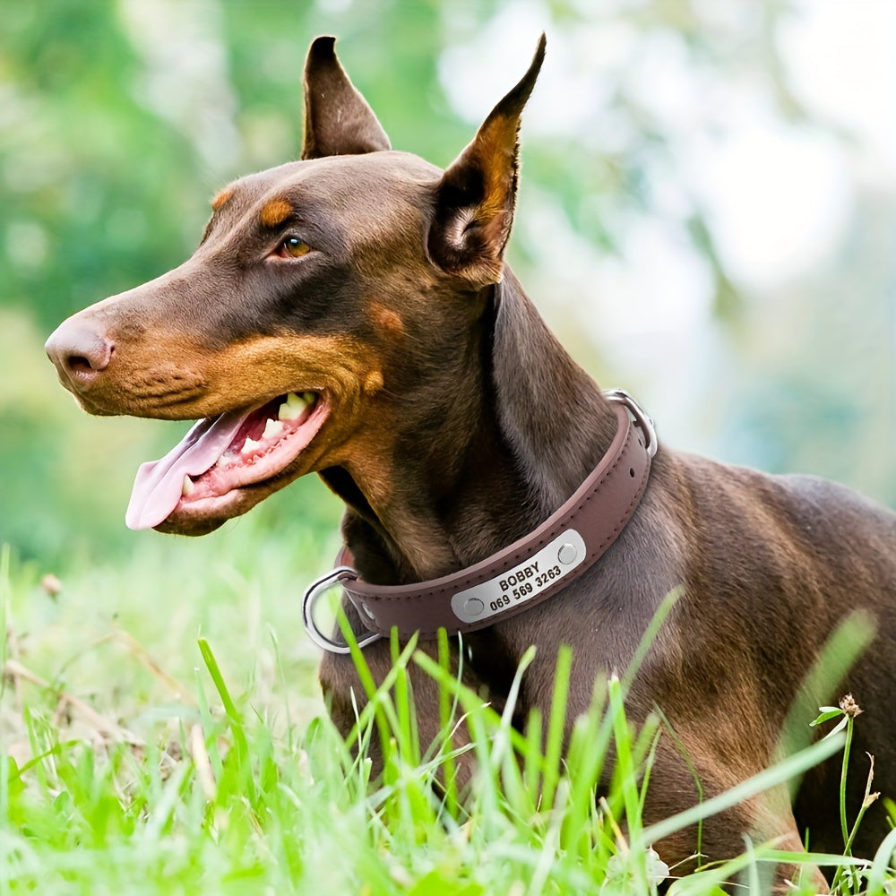 Custom Engraved Dog Collar with Personalized ID Tag