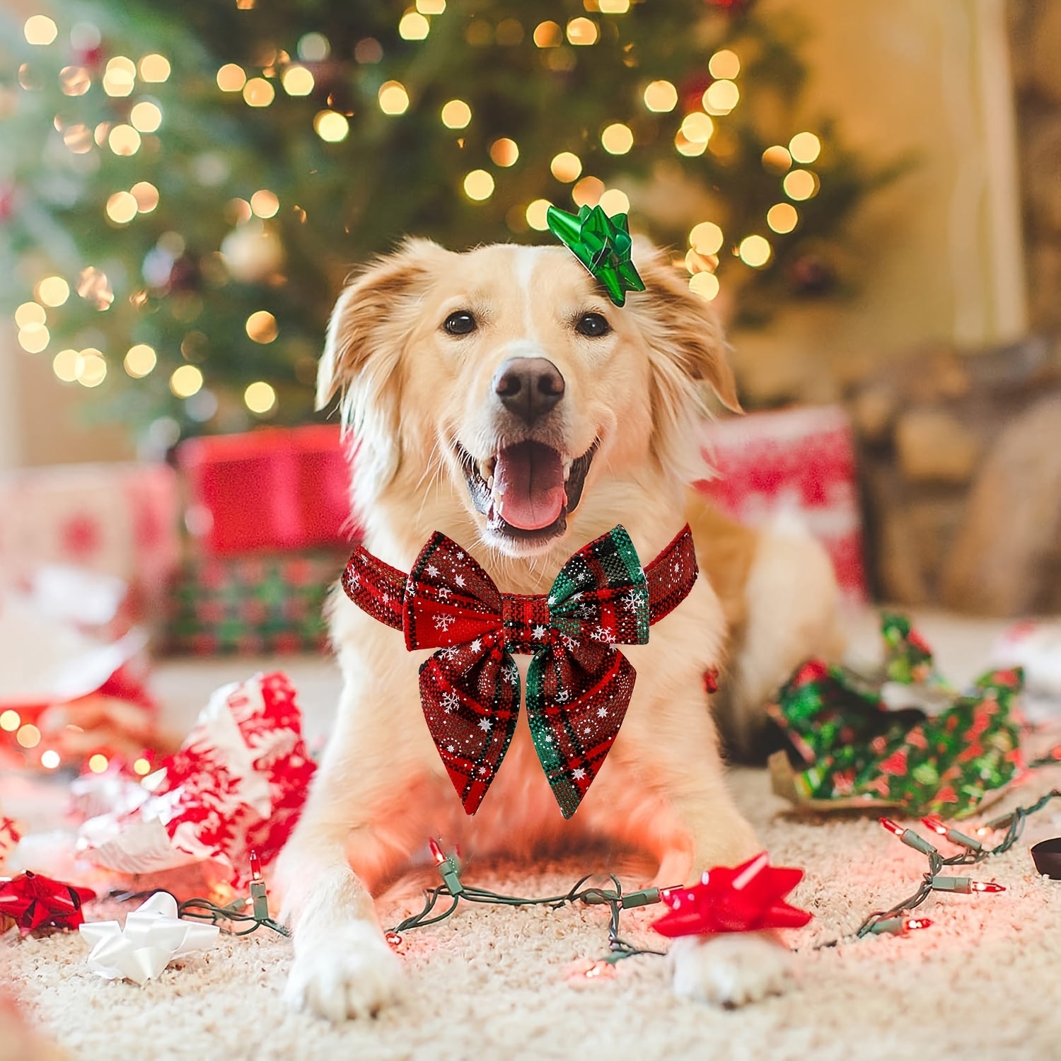 Christmas Plaid Dog Collar with Detachable Bowtie, Adjustable Pet Collar for Cats and Dogs, Durable Polyamide Material with Press Buckle and D-Ring, Perfect for Holiday Parties, Birthdays, and Daily Wear - Red (S/M/L)