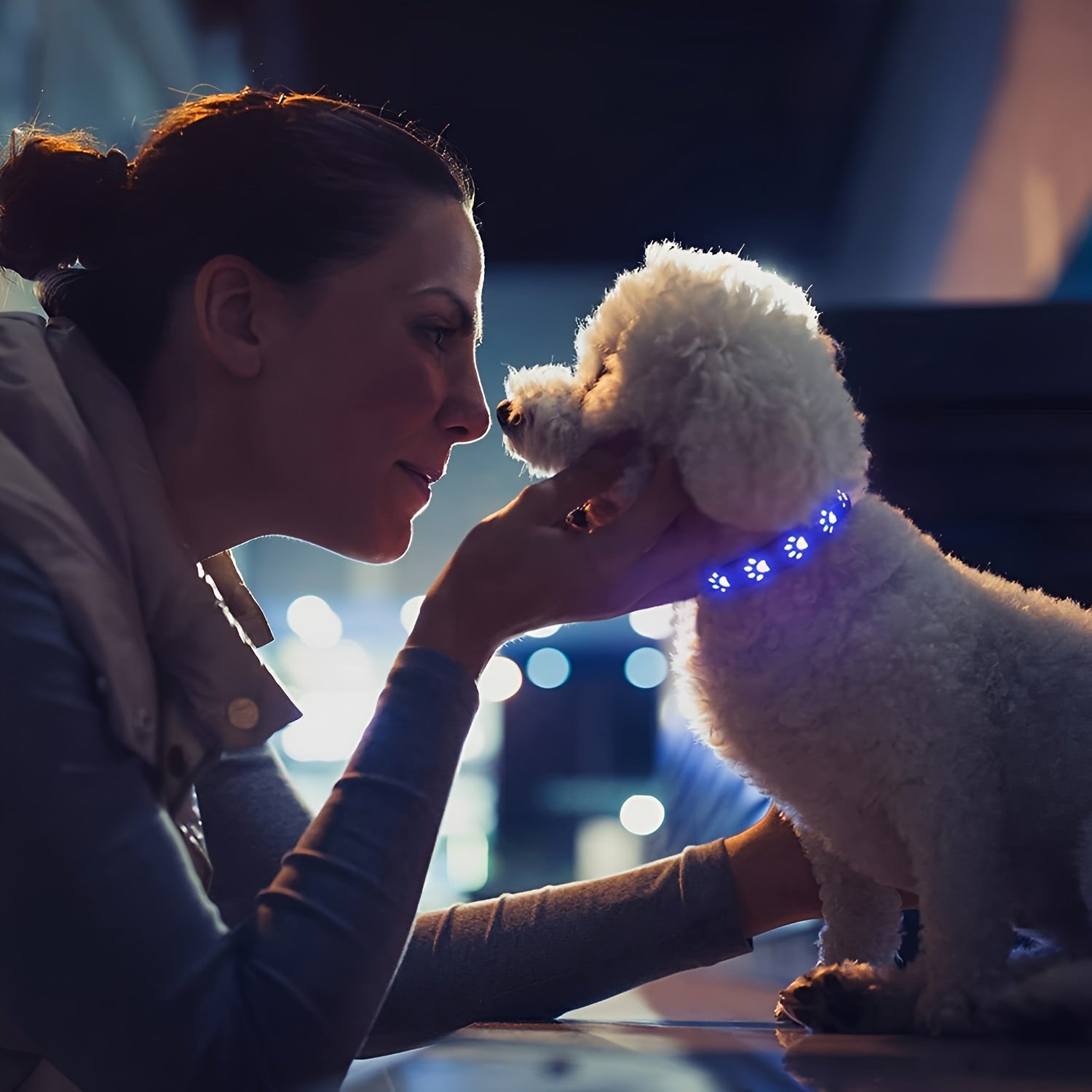 Rechargeable LED Dog Collar -, Color-Changing Light-Up Pet Collar with USB Charging, Durable Synthetic Faux Leather, Vibrant Animal Print Design, Evenly Spaced LED Strips for Even Lighting, Perfect for Nighttime Safety, Adjus