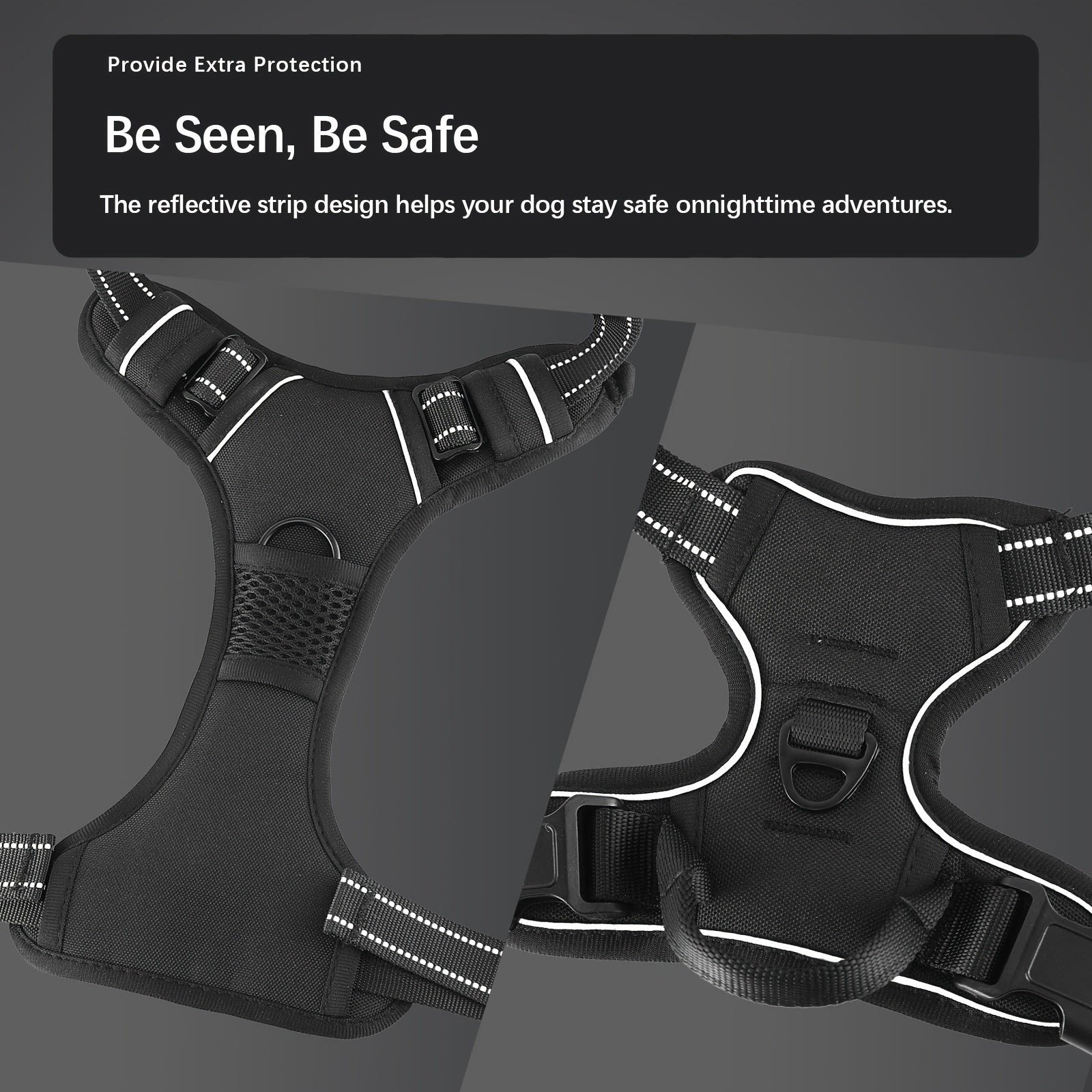 dog harness and leash set