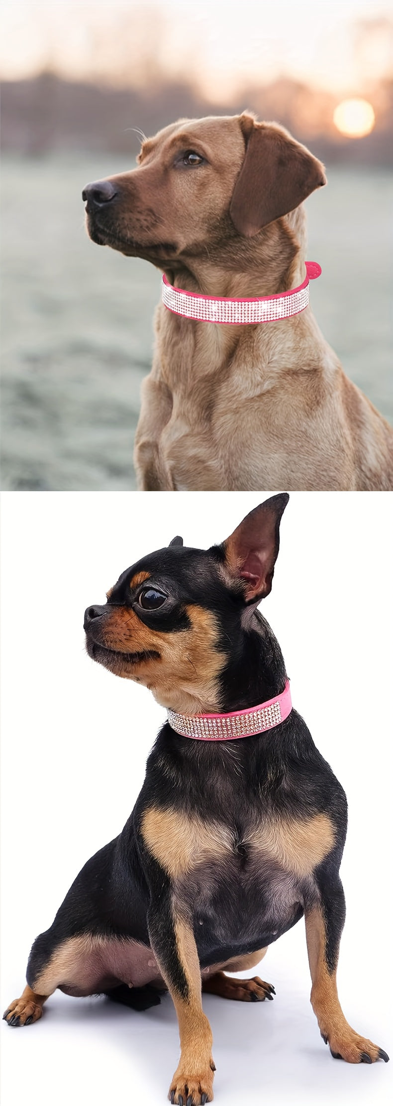 Sparkling Rhinestone Dog Collar with Leash