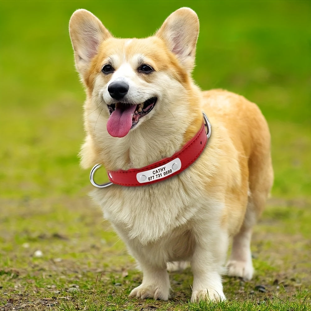 Custom Engraved Dog Collar with Personalized ID Tag