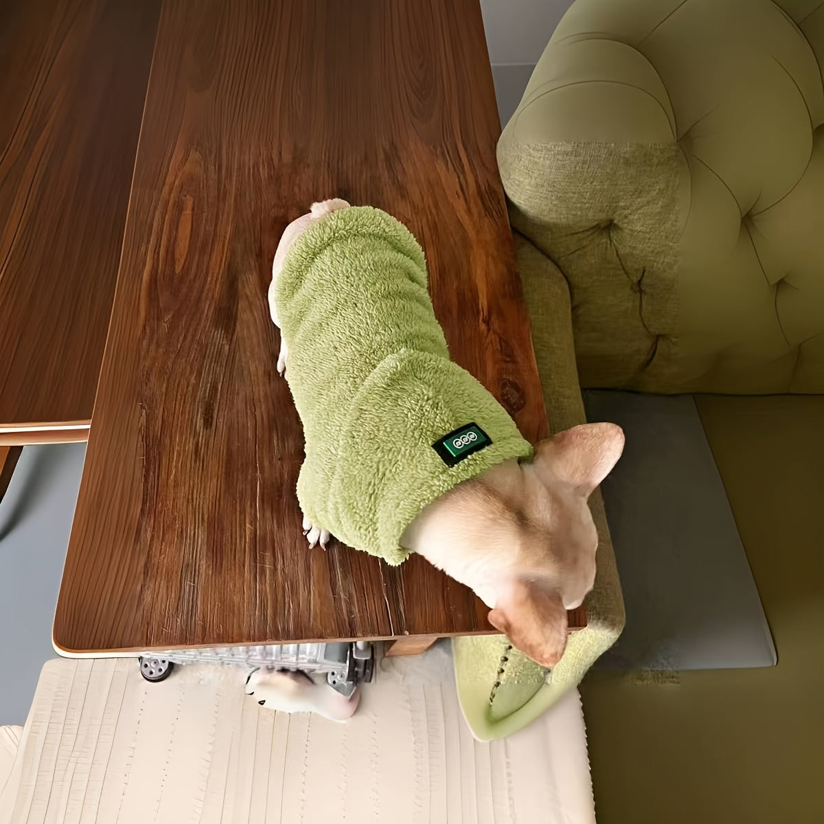 1pc New Plush Dog Hoodie, High Elastic Coral Velvet, Warm Pet Apparel For Autumn And Winter