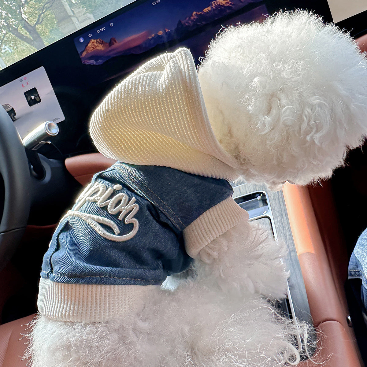 Chic Denim Dog Jacket for Small Breeds - Cozy & Stylish Pet Apparel with Snap Closure, Perfect for Fall/Winter