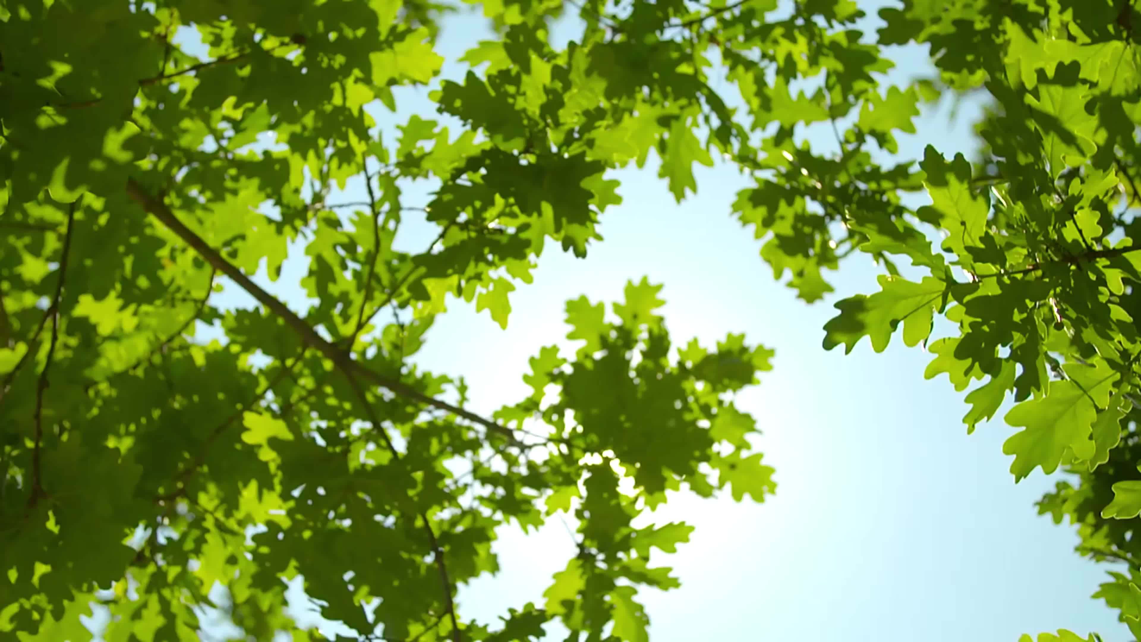 1pc Solar Fountain Pump, 1.5W Solar Bird Bath Pump With 6 Nozzles, Stand-Alone Portable Floating Solar Drinking Water Pump For Garden, Bird Bath, Pond, Swimming Pool, Outdoor & Backyard Aquarium